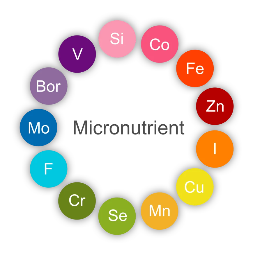Micronutrient Test