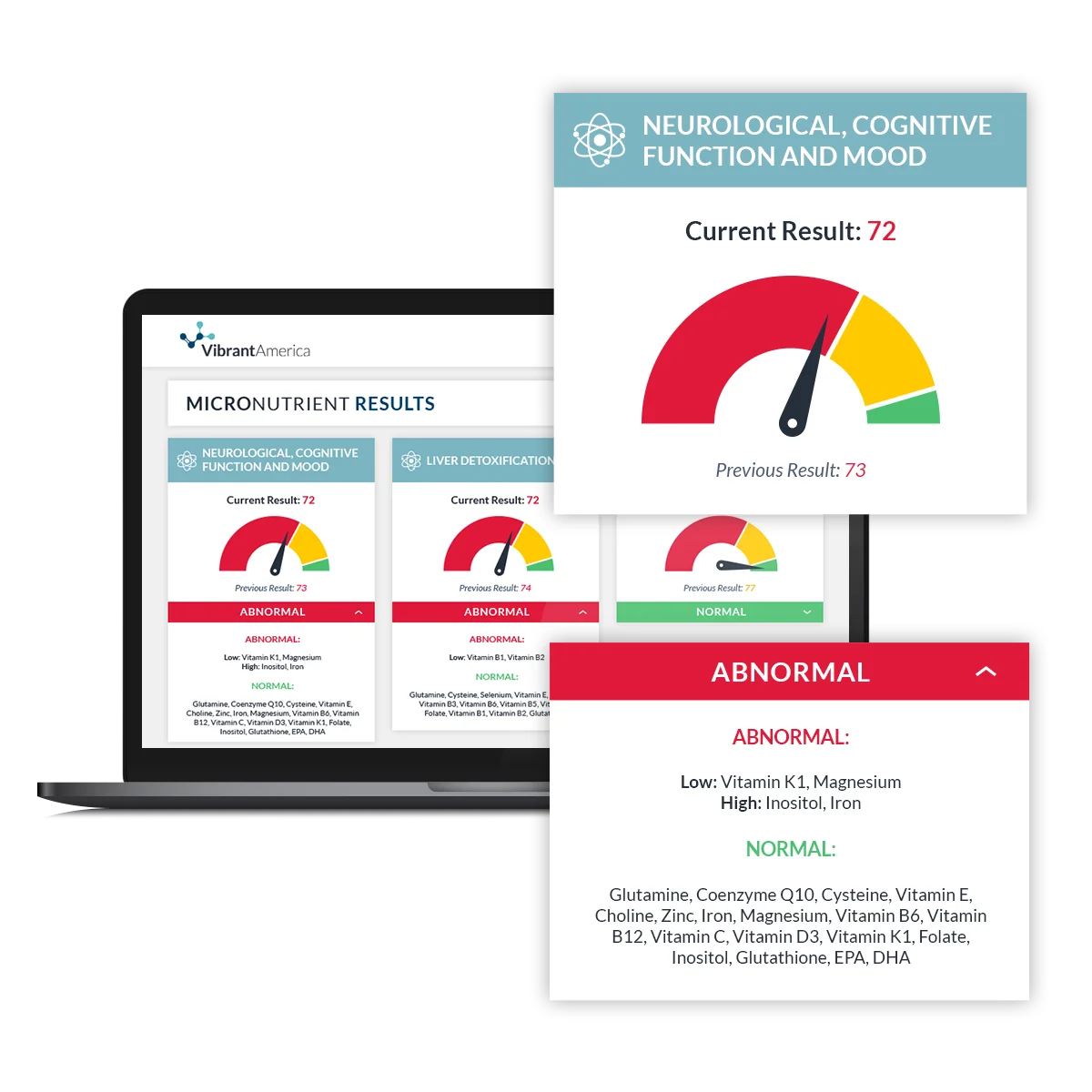 Micronutrient Test