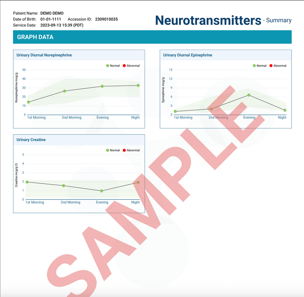 Neurotransmitters Test