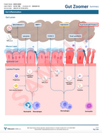 Gut Health Test