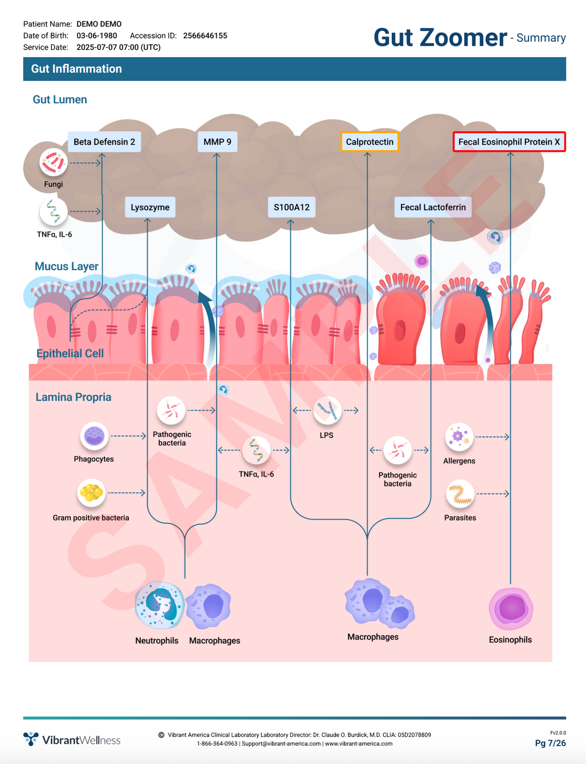 Gut Health Test