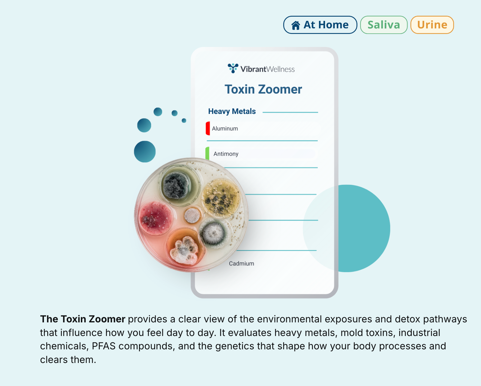 Total Toxin Zoomer