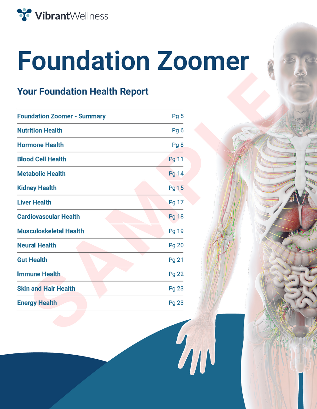 Foundation Zoomer