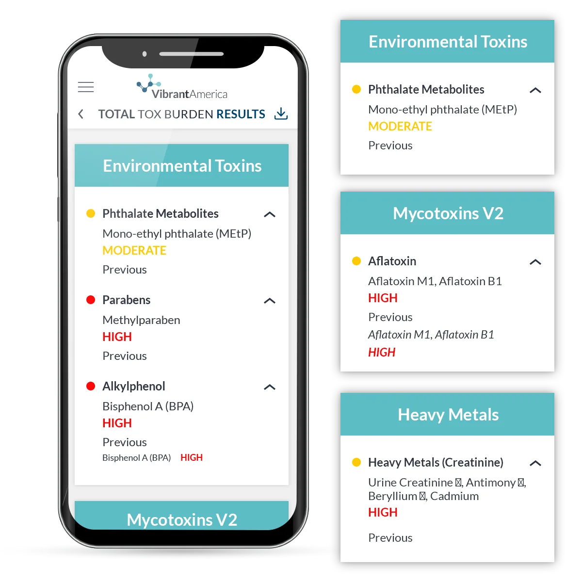 Toxic Burden Test