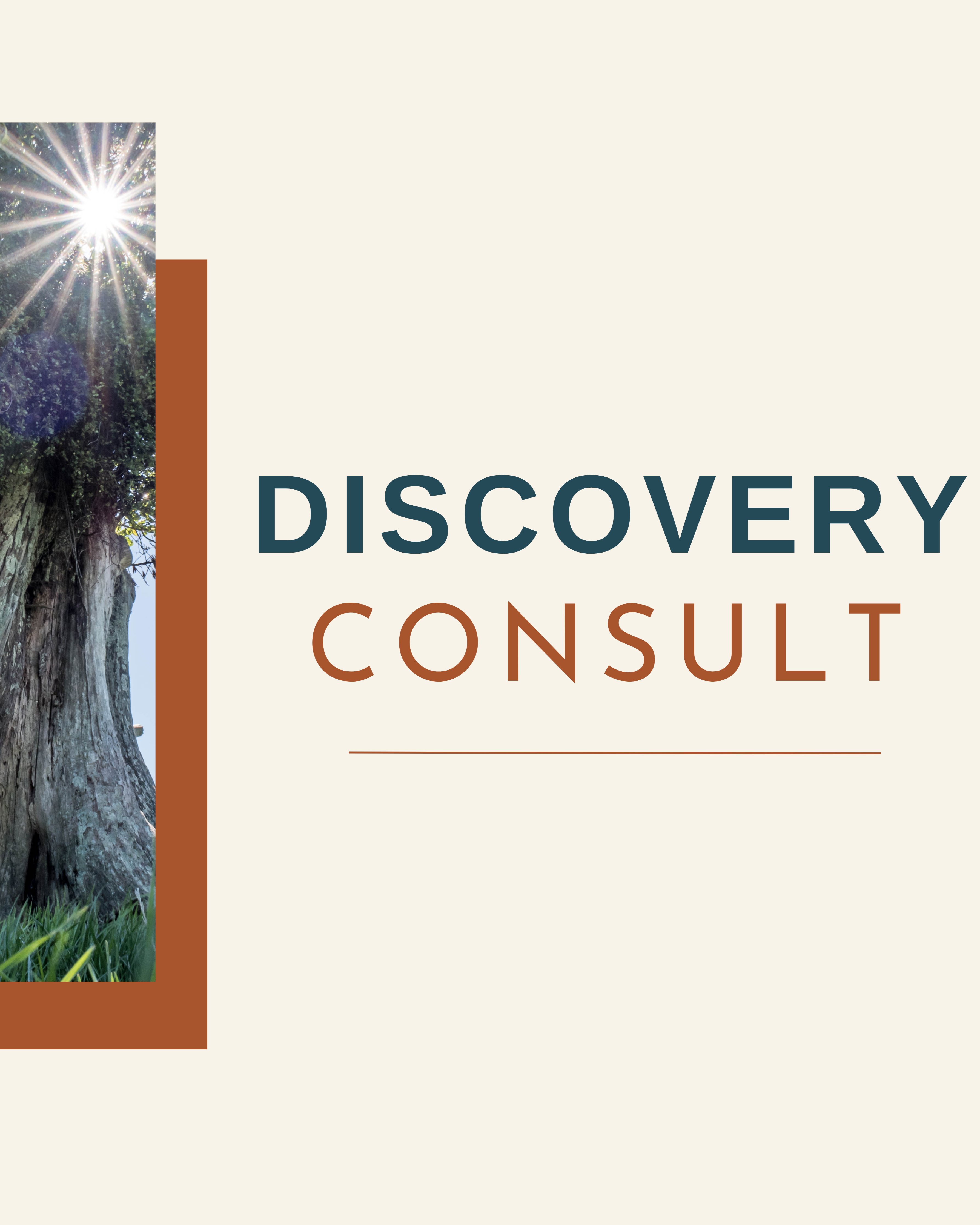 Discovery Consult